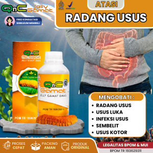 Atasi Radang Usus Usus Kotor Usus Luka Resiko Kanker Usus Usus Terasa Perih Sembelit Sakit Di Area Perut Bab Tidak Lancar Infeksi Usus Hisprung Perut Kembung Dengan QNC Jelly Gamat Emas Ekstrak Teripang Emas Asli