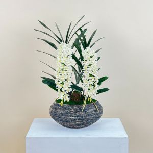 Akara Dokmaii กระถางกล้วยไม้ประดิษฐ์ กล้วยไม้ช้างกระพร้อมกระถาง