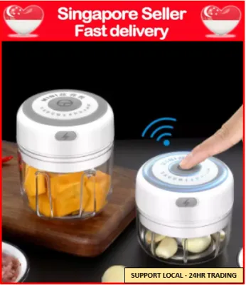 250ml Electric Kitchen Garlic chopper mini baby fruit food processor Grinder Crusher Blender