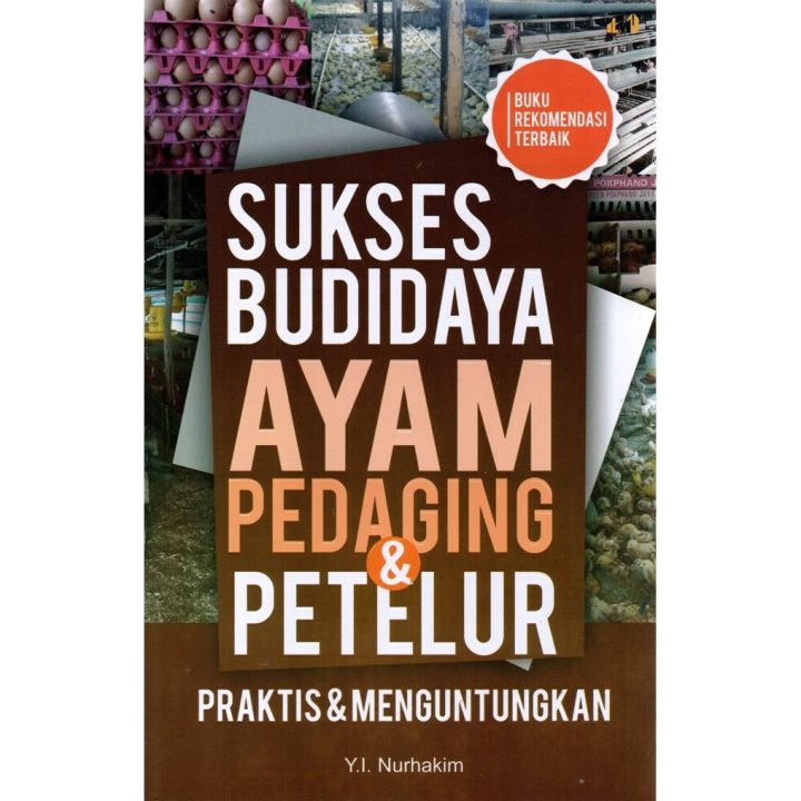 Pedaging Sukses Budidaya Ayam Pedaging Dan Petelur | Lazada Indonesia