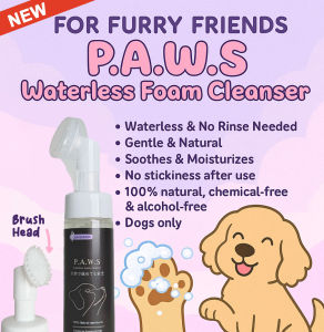 (For Furry Friends) P.A.W.S Waterless Foam Cleanser [For Dogs Only] – Lavender Scent No Rinse Natural & Gentle 200ml