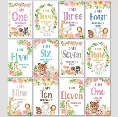 Newborn Baby Milestone Card (Set of 12 Pieces)