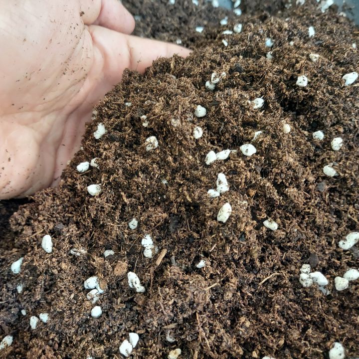 Eco Worm ดินเพาะกล้า สูตรผสมสำเร็จ เร่งรากใน 10 วัน