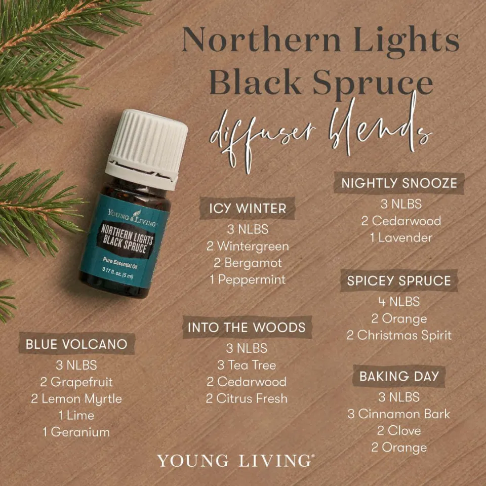 100% Original Young Living Northern Lights Blacks Spruce Pure