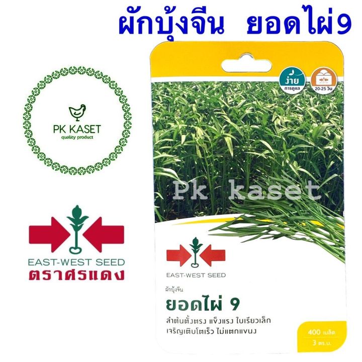 เมล็ดผักบุ้ง ยอดไผ่ 9 ศรแดง ซองแข็ง 400 เมล็ด