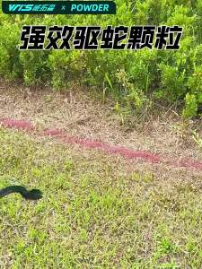 雄黄驱蛇粉强力防蛇驱蛇神器防蛇虫蛇粉防蛇神器去蛇粉户外
