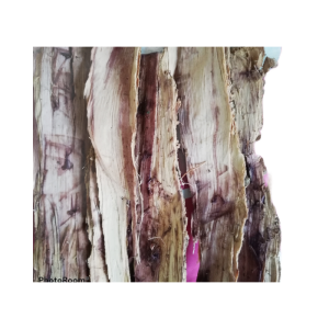 Crafty Banaba Fresh  leaves 100g per pack