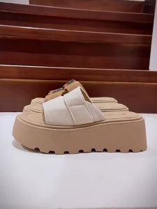 [Free Shipping] Thick-soled high-heeled height-increasing slippers for women 2006 summer fashion versatile one-strap sandals