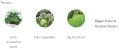 Organic Leafy Fertilizer 532 (400gm) - [Bundle of 2]. 