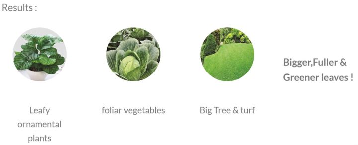 Organic%20Leafy%20Fertilizer%20532%20(400gm)%20-%20%5BBundle%20of%202%5D%20-%20Image%204