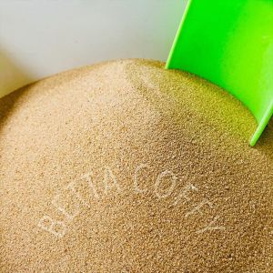 Cát Nắng Vàng Trải Nền Bể Cá Hồ Thủy Sinh - Cát Vàng Tự Nhiên Sạch Đẹp