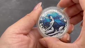 Funny Head and Tails CoinMermaid Coinflip a Cointoss CoinChallenge CoinFunny Prank Gifts
