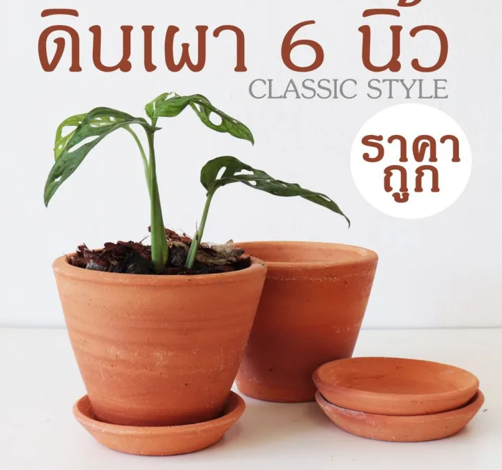 10 อันดับกระถางดินเผา 6 นิ้ว ยอดนิยมสำหรับแต่งสวนและบ้าน อัปเดตปี 2025
