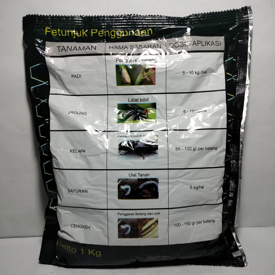 Katta dumba va katta kokraklar