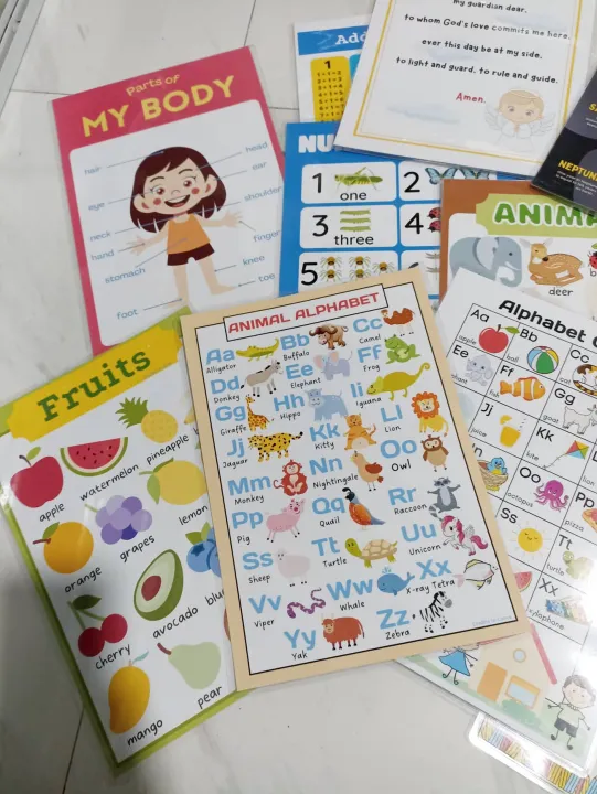 A4 Laminated Charts Wall Chart for Kids | Lazada PH