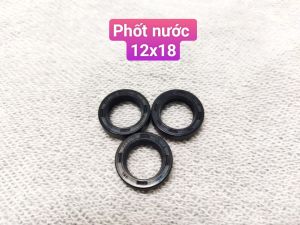 combo bộ phốt nhớt phốt nướclupe máy rửa xe có chỉnh áp ( bơm trung )