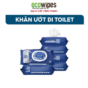 KHO BÌNH THẠNH_Combo 05 Gói Khăn ướt vệ sinh Flushable Wipes gói 60 khăn tự tan trong bồn cầu