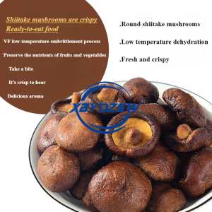 【XBYDZSW】香菇脆即食休闲蔬菜干脆片 Shiitake Mushroom Crispy Instant Snack Vegetable Crispy Slices Snack Fruit