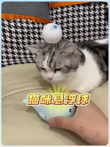 Portable USB Powered Whale Shape Electric Floating Ball Toy for Kitten with Fan and Soccer Ball