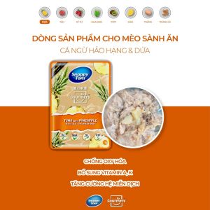 Pate Snappy Tom cao cấp vị Cá ngừ mix Trái cây rau củ cho Mèo 70g