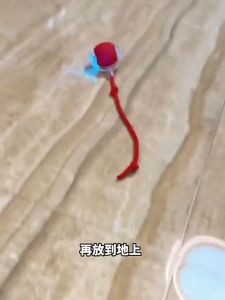 Interactive Cat Ball Toy Automatic Rolling Electric Pet Training USB Rechargeable Indoor Chase Play