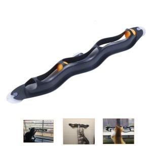 Núm hút cao su mèo đồ chơi trêu ghẹo cho cửa sổ giữ trong nhà Kitten giải trí trêu chọc đồ chơi đồ chơi tương tác cửa sổ tập tin đính kèm