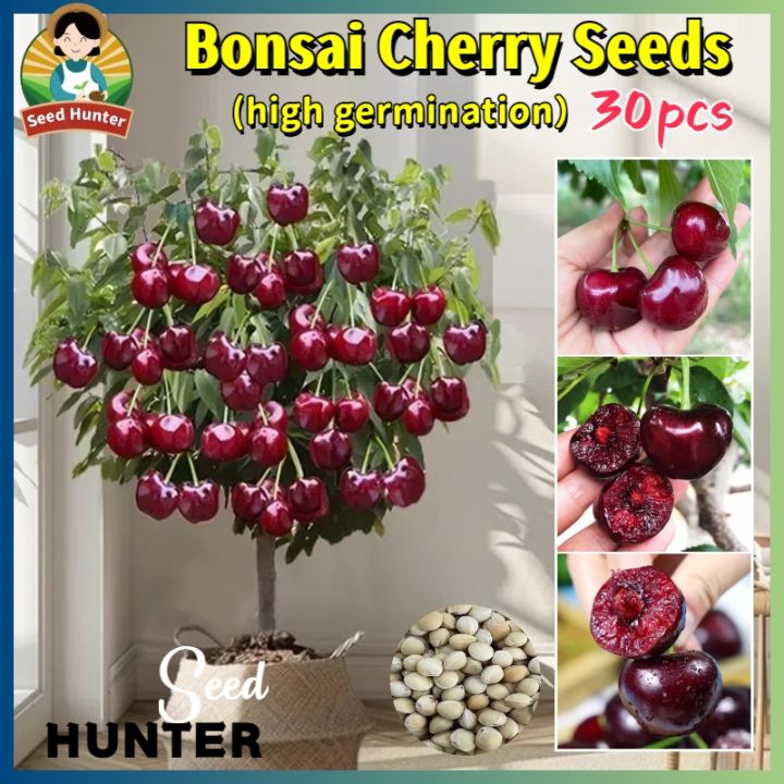 plant pot holder 4-Tier Plant Stand, Multiple Potted Plants Holder Corner Flower Shelf main image 0