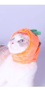 nón hình cà rốt cà tím hướng dương dành cho chó mèo - T3 PETS SHOP