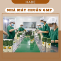 Dầu Gội Bưởi, dầu gội thảo dược chống rụng tóc kích mọc tóc, dưỡng tóc cùng Cổ Hương. 