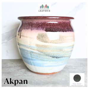 The Leaferie Akpan Big plant pots Ceramic flowerpot flowerpots flower pot planter planters