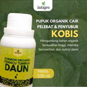 Pupuk Pembesar Crop Kubis / Pupuk Cair Kubis Penyubur Daun / Obat Pupuk Daun Kubis Booster Kol Daun