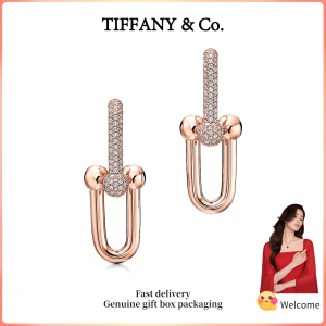 (New) Womens Fashion Earrings Rose Gold HardWear Series Large chain earrings with diamonds Valentines Day holiday gifts