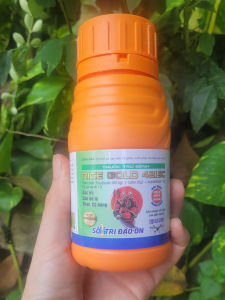 [THIEN THINH SHOP] Thuốc trừ đạo ôn lá đạo ôn cổ bông RICE GOLD 421SC chai 240ml khô nhanh vết bệnh thấm sâu lưu dẫn