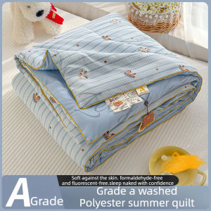 Printed Patterns Summer Duvet Cool Comfortable Air Conditioner Quilt Skin Friendly Breathable Comforter Thin Soft Fluffy Blanket2026
