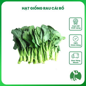 Hạt giống rau Cải Rổ (Cải làn) gói 5gr trồng quanh năm siêu năng suất