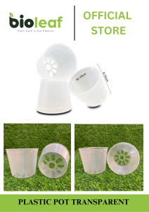 Plastic Pot Transparent