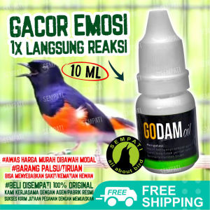 SEMPATI Godam Oil Metabolisme High Obat Burung Sakit Macet Bunyi Mabung Tidak Tuntas RSWPAJ2