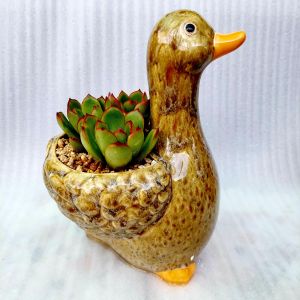 Chậu đất nung Bình Dương - Vịt thiếu nhi miệng chậu 8cm chiều cao 9cm tới lưng 20cm tới đầu