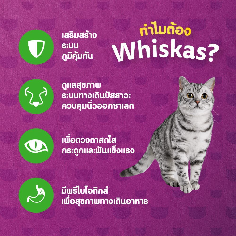 อาหารแมวแบบแห้ง ใหม่!! Whiskas วิสกัส อาหารแมวชนิดเม็ด สำหรับแมวโต สูตรดูแลระบบทางเดินปัสสาวะ 480 g.