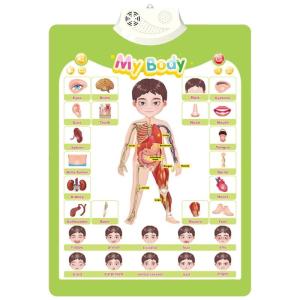 Kids Interactive Educational Wall Chart Talking Wall Chart Toy for Toddler Early Learning Water Resistant and Safe Use