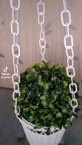 Desain Rumput Gantung & Bunga Gantung: Tips dan Trik