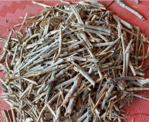 Ranting Pohon Cengkeh Kering / Dahan Pohon Cengkih Kering Alami / Natural Dried Clove Tree Twigs