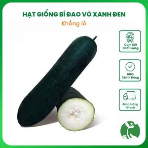 Hạt giống Bí đao vỏ xanh đen trái Khổng lồ - Gói khoảng 100 hạt - Nội địa Trung