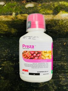 Insektisida PREZA 100OD mantap dari FMC