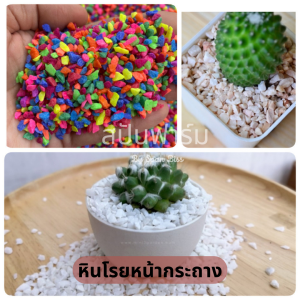 500กรัม/1กก. หินโรยกระถางแบบล้างแล้ว ดินปลูกไม้น้ำ ดินตู้ปลา หินตู้ปลา หินตกแต่งตู้ปลา หินกระบองเพชร หินธรรมชาติ หินเกล็ด หินโรยแคคตัส