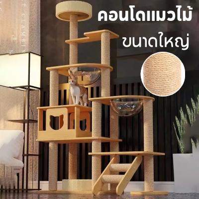 BHQ PET คอนโดแมวหลังใหญ่ คอนโดไม้ มินิมอล
