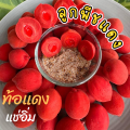 HOT  ท้อเเดง =500กรัม= RED PEACH ลูกท้อเเดง พีชเเดง ลูกพีชเเดง ลูกท้อแดงแช่อิ่ม ลูกพีช ลูกท้อเเดง ลูกพีชแดง ลูกพีชกรอบ ลูกพีชแช่อิ่ม ท้อแดง ท้อเหลือง ลูกท้อแดง ลูกท้อเหลือง ลูกพีชกรอบ ท้อน้ำผึ้ง เนื้อกรอบ หวานอมเปรี้ยว กรอบอร่อยมาก. 