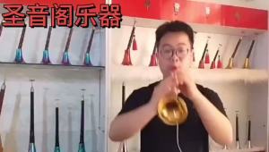 红木黑檀木乌木唢呐乐器全套初学者成人入门D调民族中号吹奏喇叭Mahogany Ebony Ebony Suona Alat muzik Set Penuh untuk Pemula Orang Dewasa Pengenalan D-Tune Tanduk Sederhana Etnik Tanduk Bertiup