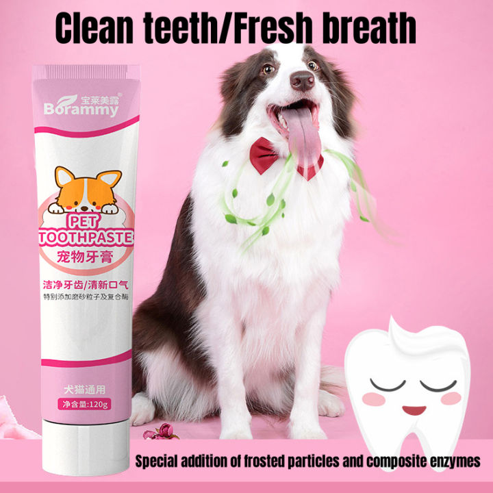 %E3%80%90Blue%20Petz%E3%80%91Pet%20Toothbrush%20&%20Toothpaste%20Cat%20&%20Dog%20360%20%C2%B0%20Teeth%20Cleaning%20Care%20Set%20universal%20Preventing%20Cavities%20-%20Image%205