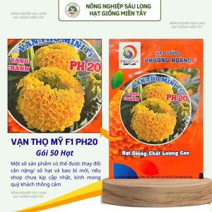 Gói 50 Hạt Vạn Thọ Siêu Lùn F1 PH20 – Vàng Chanh Cao 20–30cm